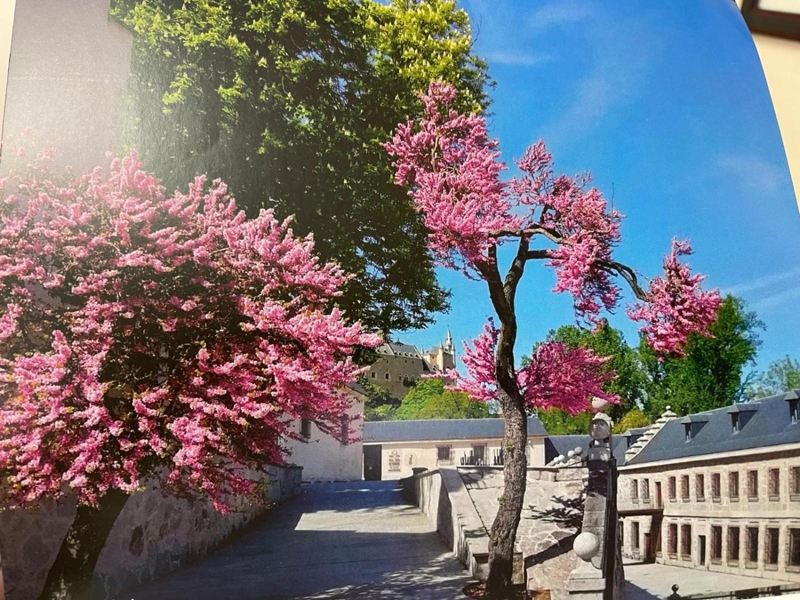 El Jardin De La Alegria Villa Zamarramala Buitenkant foto